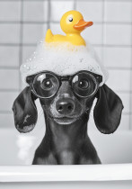 " ФРЕЯ" Пазл 500 элемент. PZL- 500/ 81 Купание черной таксы