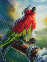 Кристальная ( алмазная) мозаика  " ФРЕЯ" ALPD- 038 на подрамнике " Попугай Флинта" 30 х 40 см